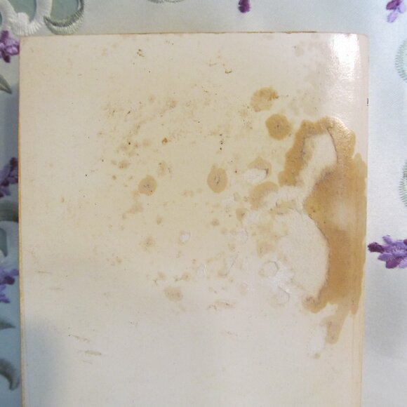 Crystal Clear by Elizabeth Cadell Vintage Paperback 1973 Bantam PB - Picture 15 of 16